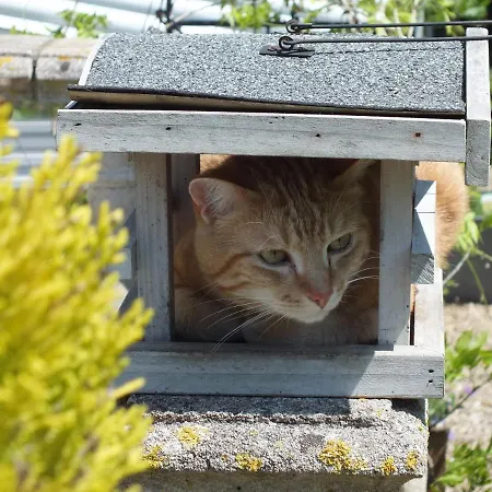 Le Caravanserail فندق مبيت وإفطار